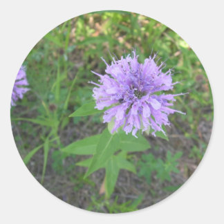 Adesivo Redondo Bee-balm