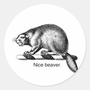 Adesivo Redondo BELA ARVORE -.png