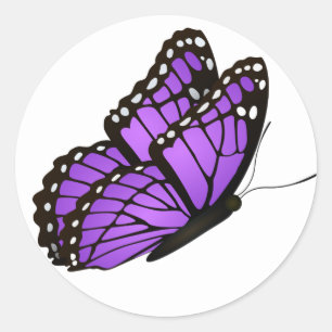 Adesivo Redondo Bela Borboleta Clássica Redonda Ilustrada