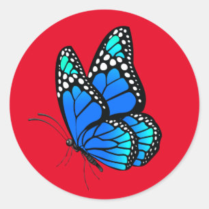 Adesivo Redondo Bela borboleta ilustrada