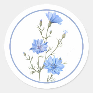 Adesivo Redondo Bela Chicória Flor Erva Azul Vinca Bonita