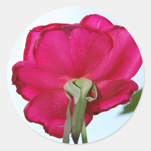 Adesivo Redondo Bela Flor Sticker (Frente)