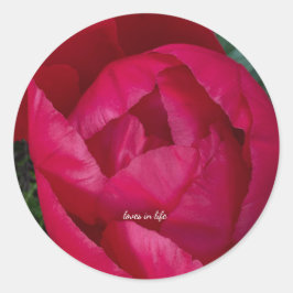 Adesivo Redondo Bela Peônia Vermelha em Flor