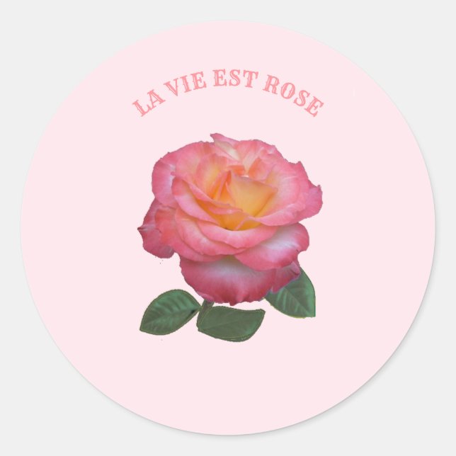 Adesivo Redondo Bela Rosa Rosa (Frente)