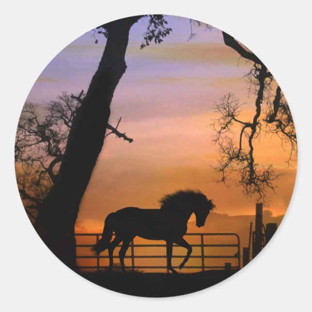 Adesivo Redondo Bela Vinheta de Cavalo (Frente)