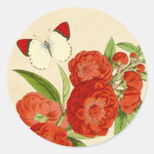 Adesivo Redondo Bela vinheta vermelha-floral