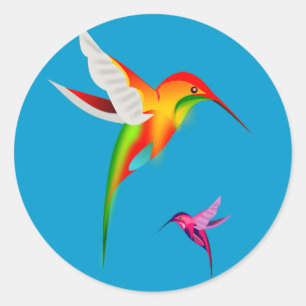 Adesivo Redondo Belas aves-do-mar (Colibri)