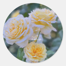 Adesivo Redondo Belas Rosas Amarelas Claras