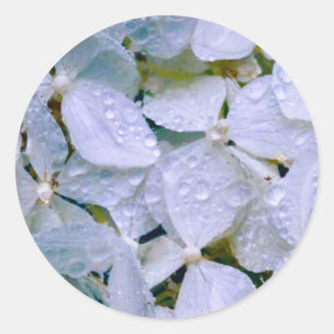 Adesivo Redondo Beleza Branca