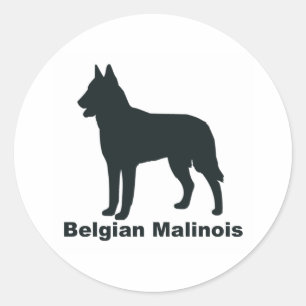 Adesivo Redondo Belga Malinois