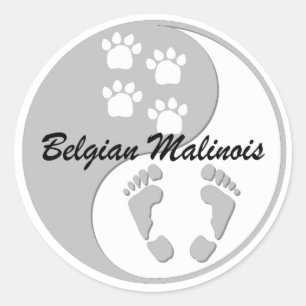 Adesivo Redondo belga Malinois de yang do yin