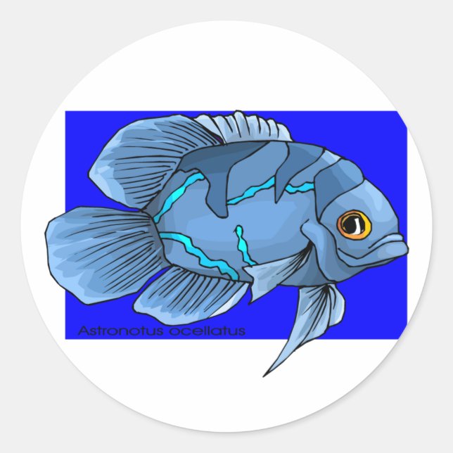 Adesivo Redondo Belo Azul Tropical Oscar Fish (Frente)