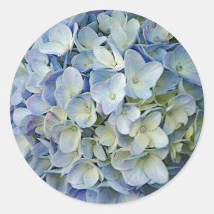 Adesivo Redondo Belo Blue Hydrangea Flowers Foto