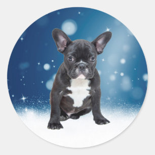 Adesivo Redondo Belo Buldogue Francês Estrelas de Neve Azul Natal