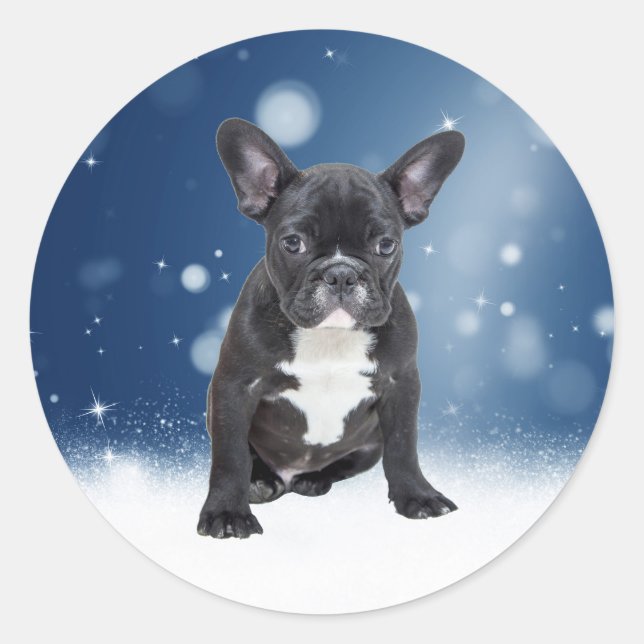 Adesivo Redondo Belo Buldogue Francês Estrelas de Neve Azul Natal (Frente)