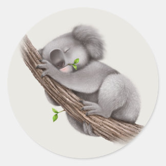 Adesivo Redondo Belo e elegante Urso Koala