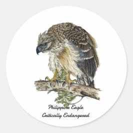 Adesivo Redondo Belo Trabalho de arte de águia filipina ameaçada