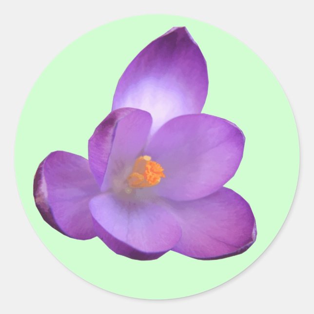 Adesivo Redondo Belo Vedante Crocus (Frente)