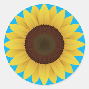 Adesivo Redondo Belo Verão