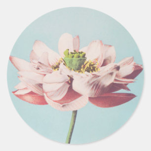 Adesivo Redondo Belos impressões fotomecânicos das Flores de Lot