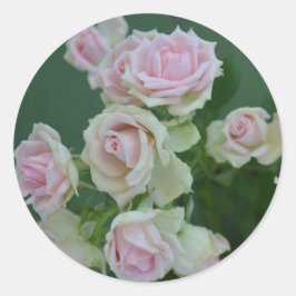 Adesivo Redondo Belos rosas de jardim de rosas claro
