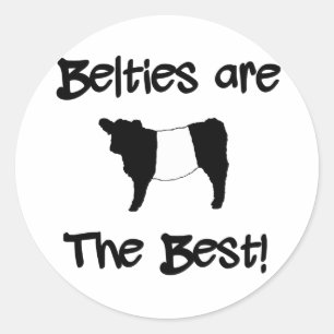 Adesivo Redondo Belties são a melhor vaca galloway