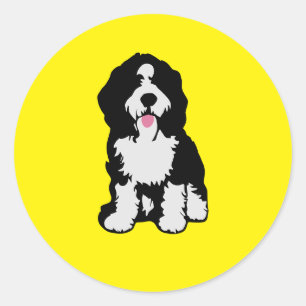 Adesivo Redondo Bernedoodle