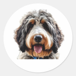Adesivo Redondo Bernedoodle Sticker