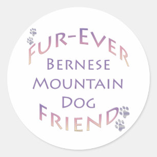 Adesivo Redondo Bernese Mountain Dog Fuere