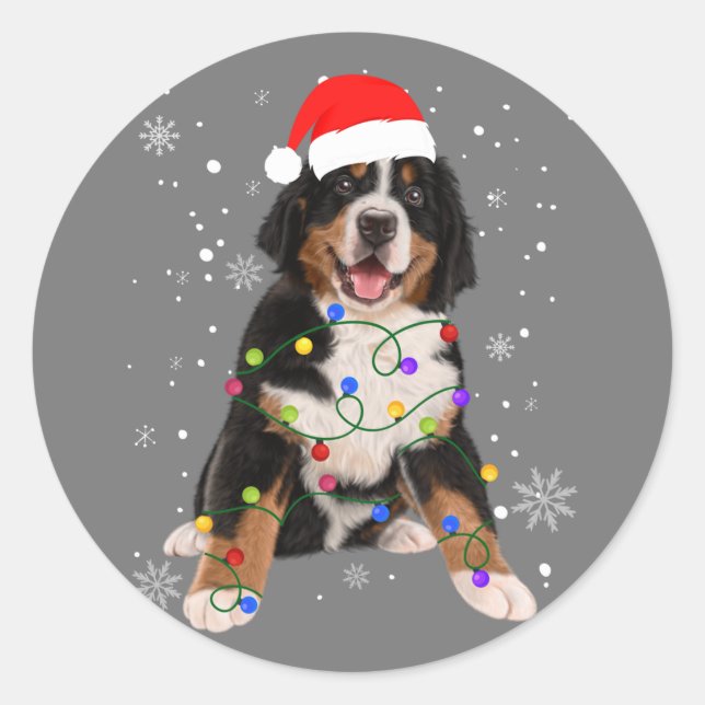 Adesivo Redondo Bernese Mountain Dog Ilumina Fama de Natal (Frente)