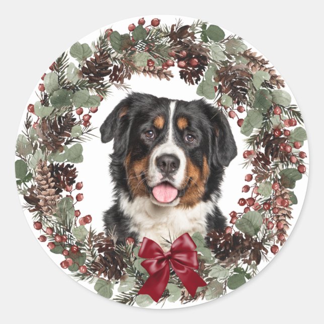 Adesivo Redondo Bernese Mountain Dog Pinecone Wreath Christmas (Frente)