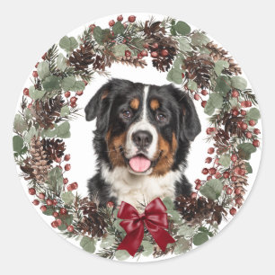 Adesivo Redondo Bernese Mountain Dog Pinecone Wreath Christmas