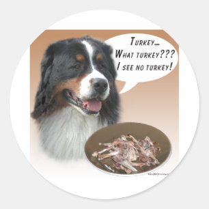 Adesivo Redondo Bernese Mountain Dog Turquia
