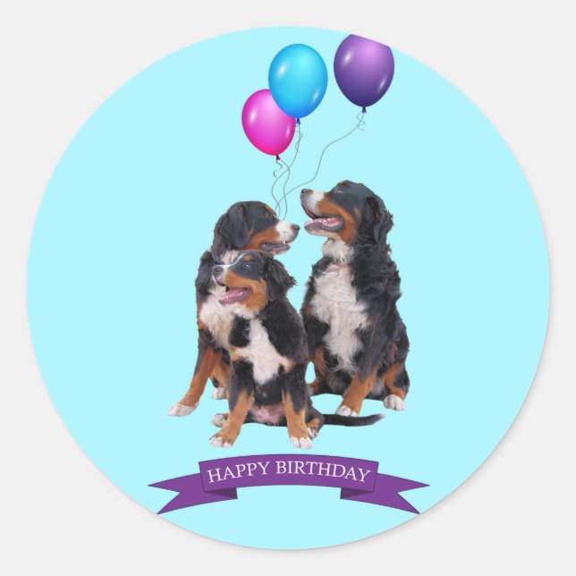 Adesivo Redondo Bernese Mountain Dogs Feliz Aniversário (Frente)