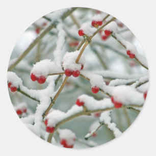 Adesivo Redondo Berries vermelhos na neve