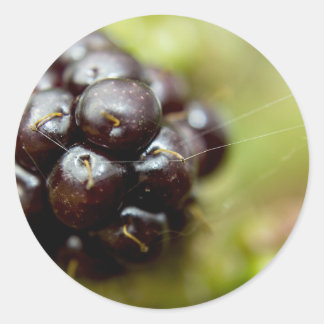 Adesivo Redondo Berry Nice