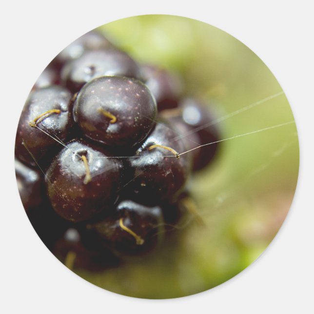 Adesivo Redondo Berry Nice (Frente)