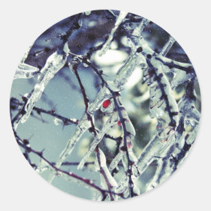 Adesivo Redondo Berry Sticker congelado