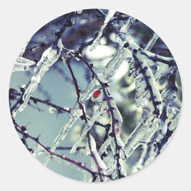 Adesivo Redondo Berry Sticker congelado (Frente)