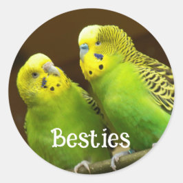 Adesivo Redondo Besties Green and Yellow Parakeets