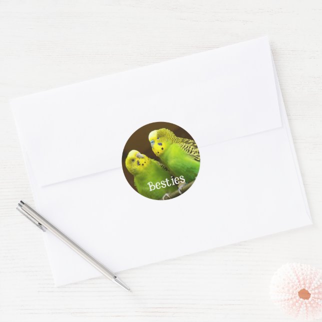 Adesivo Redondo Besties Green and Yellow Parakeets (Envelope)