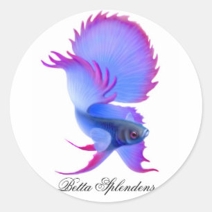 Adesivo Redondo Betta Fighting Fish Sticker