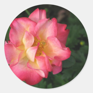 Adesivo Redondo Betty Boop - 24 de maio de 2009 139