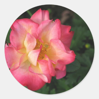 Adesivo Redondo Betty Boop - 24 de maio de 2009 139