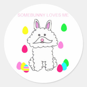 Adesivo Redondo Bichon Frise Somebunny ama-me