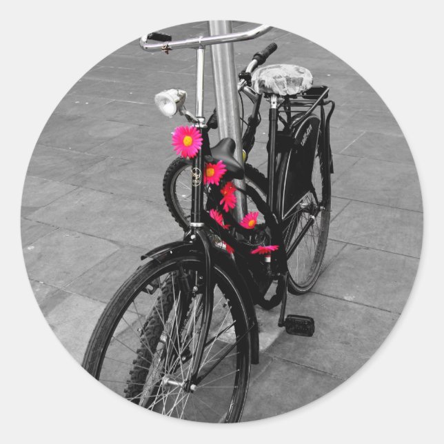 Adesivo Redondo bicicleta Oxford (Frente)