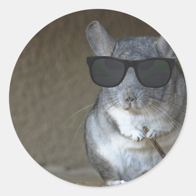 Adesivo Redondo Big Shot Chinchilla (Frente)