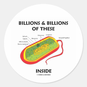 Adesivo Redondo Biliões & biliões destes (Prokaryote) para dentr