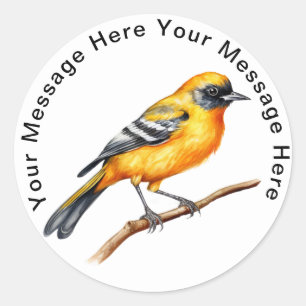 Adesivo Redondo Bird Stickers Personalizados Bonitos Baltimore Ori