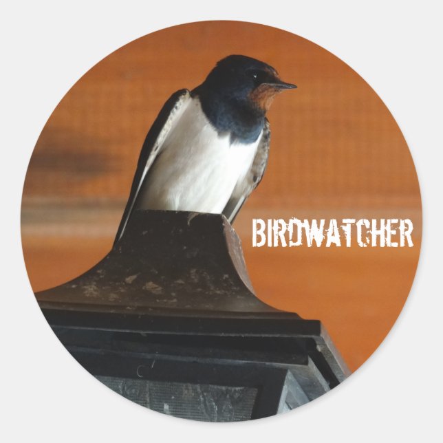 Adesivo Redondo Birdwatcher Swallow Photo Classic Round Sticker (Frente)